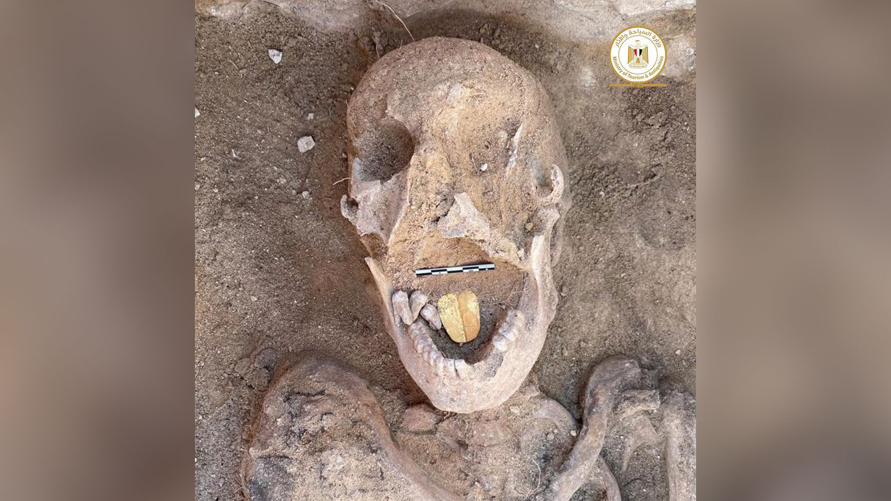 Mummies with golden tongues unearthed